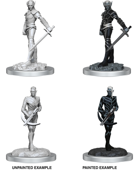 Nolzur's Marvelous Miniatures: Drow Fighters