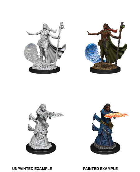 Nolzur's Marvelous Miniatures: Human Wizard	 Female