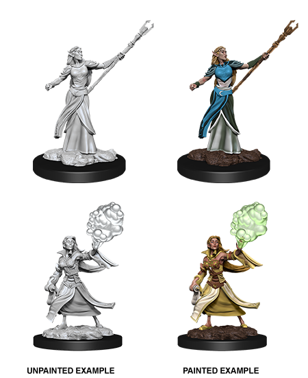 Nolzur's Marvelous Miniatures: Elf Sorcerer	Female