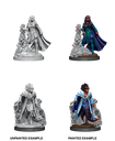 Nolzur's Marvelous Miniatures: Tiefling Sorcerer Female W11