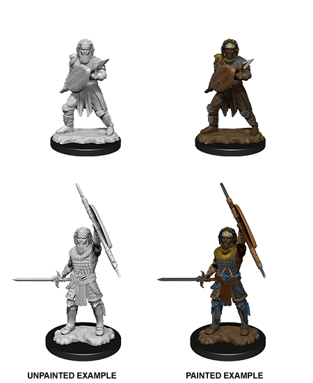 Nolzur's Marvelous Miniatures: Human Fighter Male