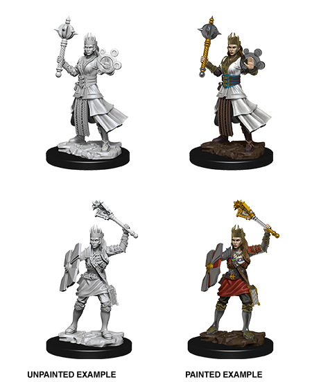 Nolzur's Marvelous Miniatures: Human Cleric Female