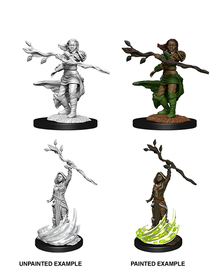 Nolzur's Marvelous Miniatures: Human Druid Female W14