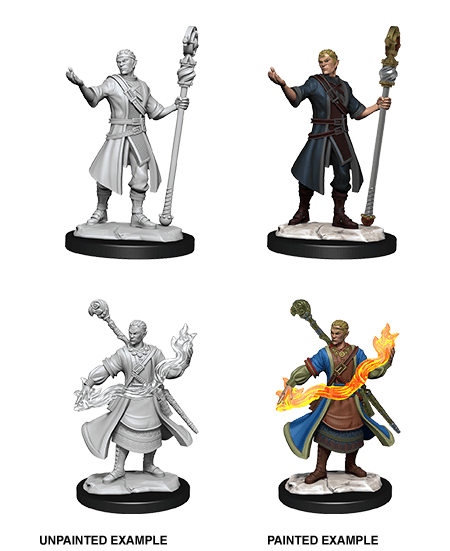 Nolzur's Marvelous Miniatures: Half-Elf Wizard Male