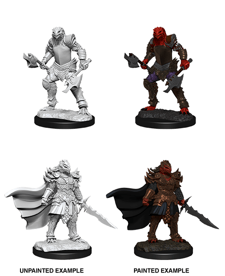 Nolzur's Marvelous Miniatures: Dragonborn Fighter Female