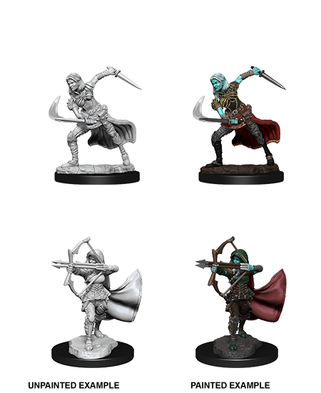 Nolzur's Marvelous Miniatures: Air Genasi Female