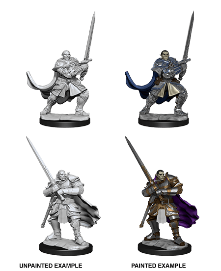 Nolzur's Marvelous Miniatures: Half-Orc Paladin Male W15