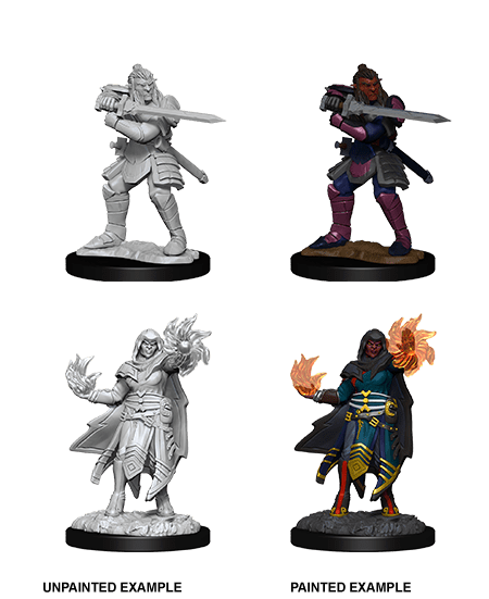 Nolzur's Marvelous Miniatures: Hobgoblin Fighter Male & Hobgoblin Wizard Female