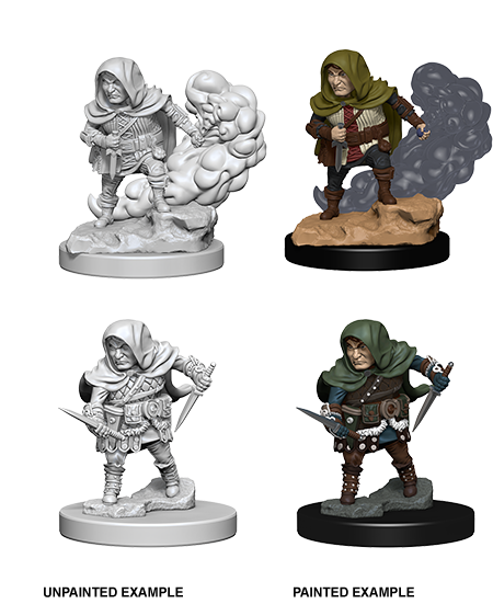 Nolzur's Marvelous Miniatures: Halfling Rogue Male W01