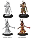 Nolzur's Marvelous Miniatures: Human Druid Female W09