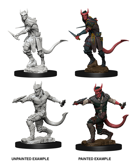 Nolzur's Marvelous Miniatures: Tiefling Rogue Male