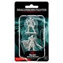 Nolzur's Marvelous Miniatures: Dragonborn Fighter Female