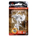 Nolzur's Marvelous Miniatures: Dragonborn Fighter Male W04