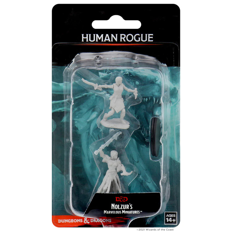 Nolzur's Marvelous Miniatures: Human Rogue Female