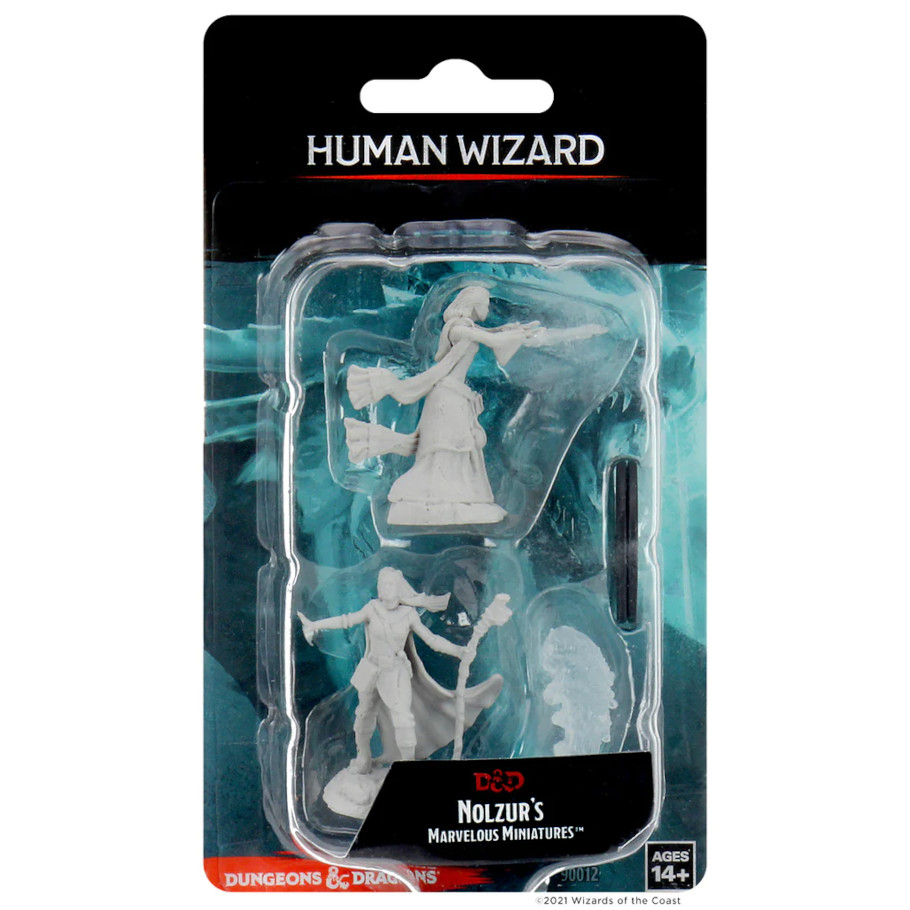 Nolzur's Marvelous Miniatures: Human Wizard	 Female