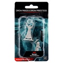 Nolzur's Marvelous Miniatures: Drow Mage & Drow Priestess