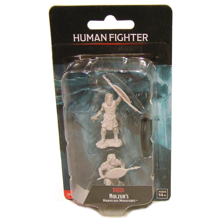 Nolzur's Marvelous Miniatures: Human Fighter Male