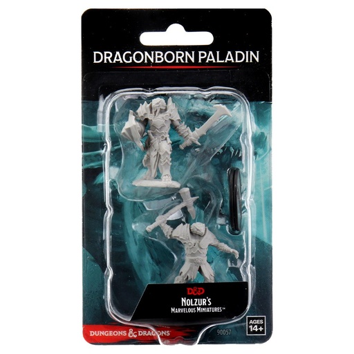 [WZK90057] Nolzur's Marvelous Miniatures: Dragonborn Paladin Male W12