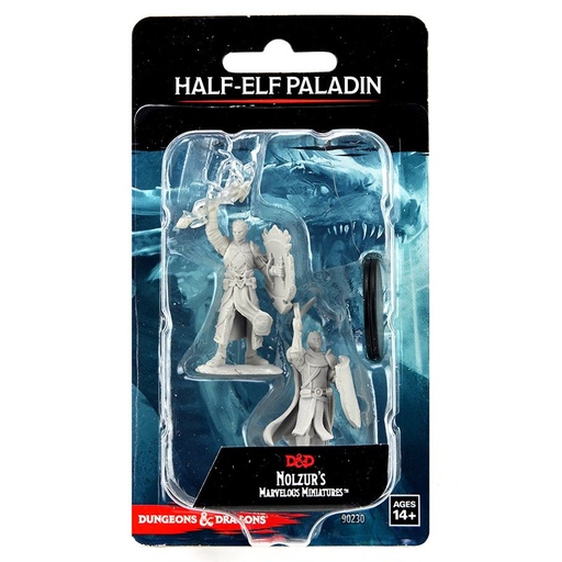 [WZK90230] Nolzur's Marvelous Miniatures: Half-Elf Paladin Male