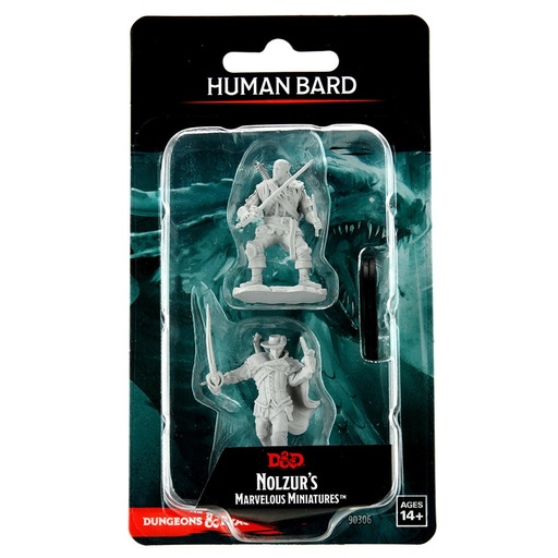 [WZK90306] Nolzur's Marvelous Miniatures: Human Bard Male