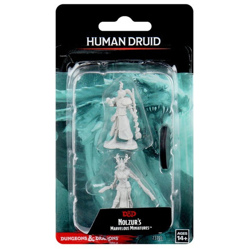 [WZK73701] Nolzur's Marvelous Miniatures: Human Druid Female W09