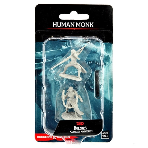 [WZK90225] Nolzur's Marvelous Miniatures: Human Monk  Female W14