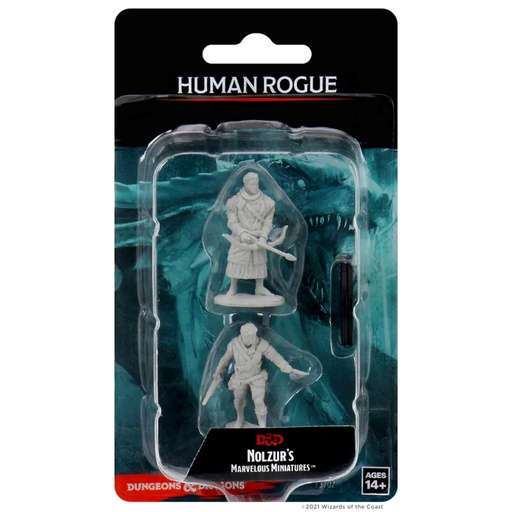 [WZK73702] Nolzur's Marvelous Miniatures: Human Rogue Male